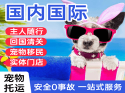 大同航空货运国际宠物托运 【国